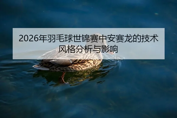 2026年羽毛球世锦赛中安赛龙的技术风格分析与影响（HTH Sports）